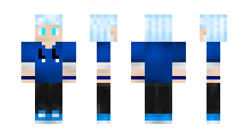 Skin Bilsou