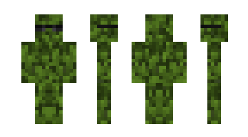 Skin BuSa