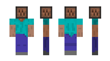 Skin C418