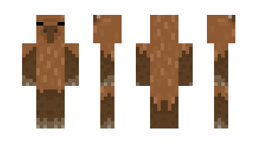 Skin CAPIBARA