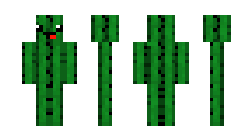 Skin CactusMaster