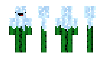 Skin Cactusraid