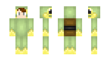 Skin ChelastXD