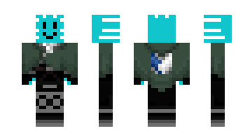 Skin ChiefAkaAka