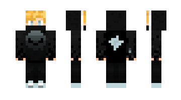 Skin CivilNewt671475