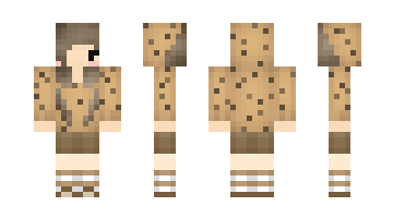 Skin CookieCraft0617