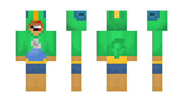 Skin DIMA2013