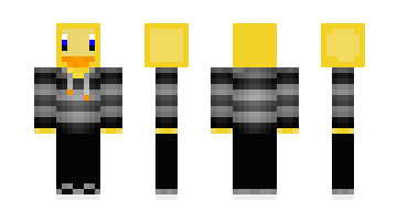 Skin DanDeDuck