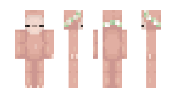 Skin DanLit