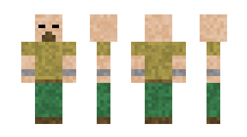 Skin Davedave000