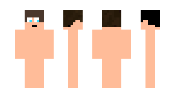 Skin Davicraft