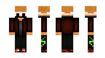Skin DiSepi