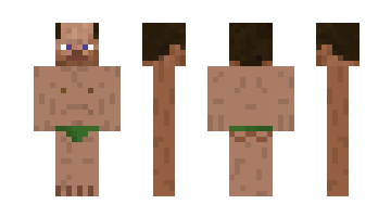 Skin Dixipixie