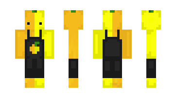 Skin Donalfredo