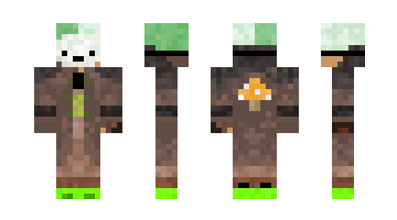 Skin E1damko