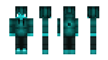 Skin Edison021511