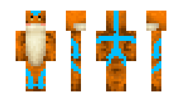 Skin Eldiazi