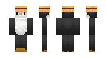 Skin Filesi