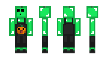 Skin FlupMC