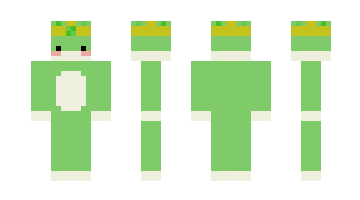 Skin Froggy2