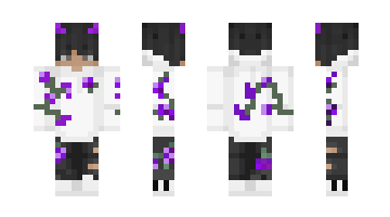 Skin GJRANGER28