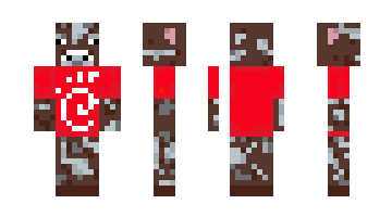 Skin GRON