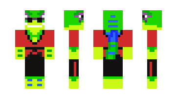 Skin Geks