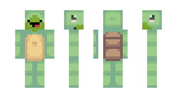 Skin GreenTurtle