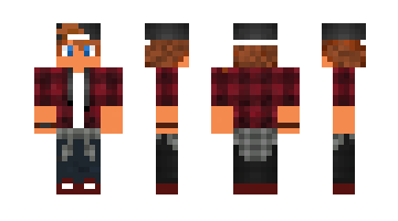 Skin HarryWDev