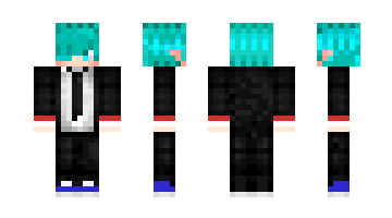 Skin Hoilanboss