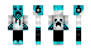 Skin Itsprogamer