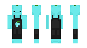 Skin ItzHelder