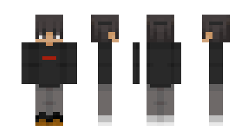 Skin Jaidenis