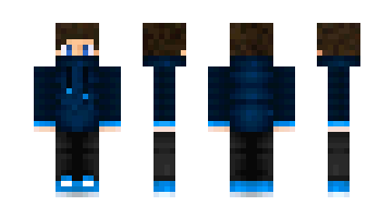 Skin LPMartin