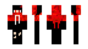 Skin LRDXB2015