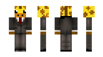 Skin LegoLife