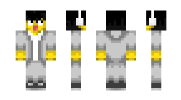 Skin Legoskiner