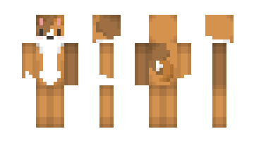 Skin LelleYT