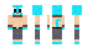 Skin Lioneq