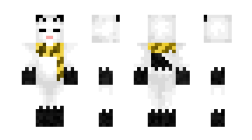 Skin LitVos