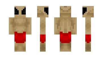 Skin LoganVPrimus