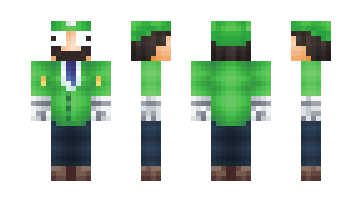 Skin LuigiToan