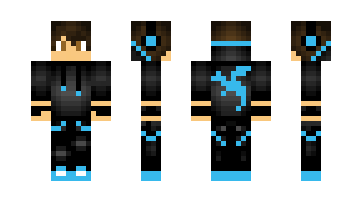 Skin MIR29