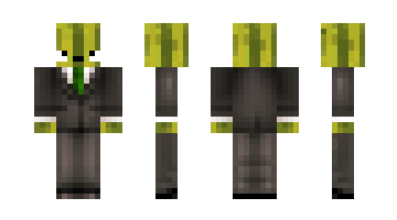 Skin MelonSiggi