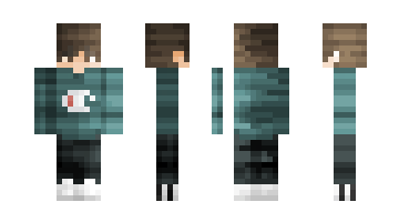 Skin Minecrafter2520