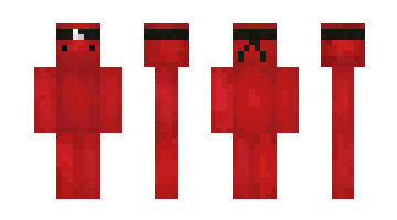 Skin Minecrft