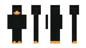 Skin Mintazas