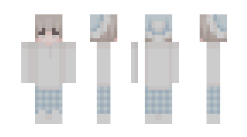 Skin MrBrick1