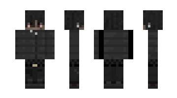 Skin MrBridge1