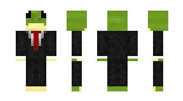 Skin MrFrog08